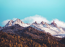 开云-新人亮剑阵容齐整 U22国足冲击亚洲杯正赛